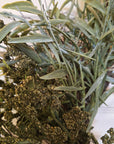 Late Summer Sprigs Wreath
