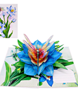 3D Pop-up Card - Dragonfly (First Class Forever stamp included)