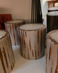 Cinnamon Stick Botanical Candle