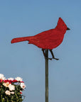 Cardinal Plant Stake