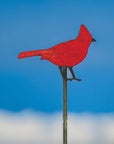 Cardinal Plant Stake