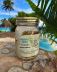 Paradise Punch - Mocktail Infusion Kit