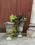 Classical Urn