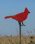Cardinal Plant Stake