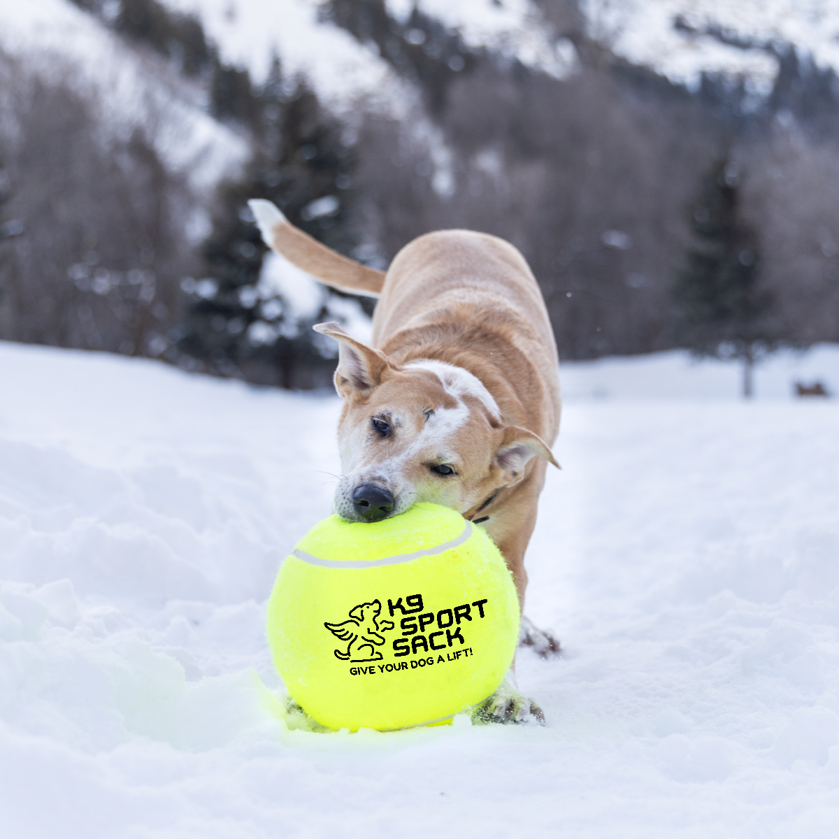 Giant Tennis Ball