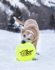 Giant Tennis Ball