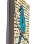 Gallery Grand - Birds Talk! Series - Indigo Bunting