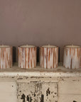 Cinnamon Stick Botanical Candle