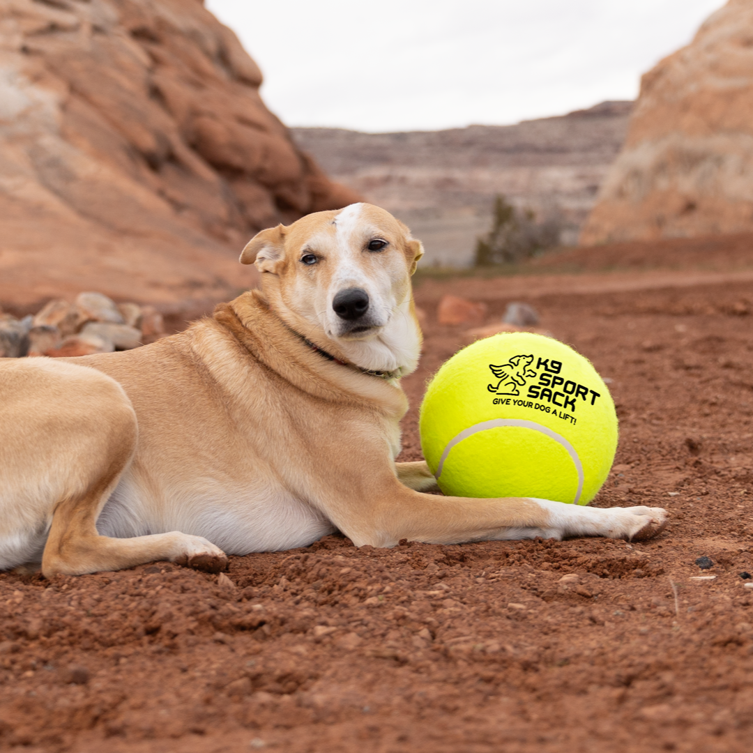 Giant Tennis Ball