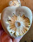 Concrete Love Heart with Petrified White Strawflower