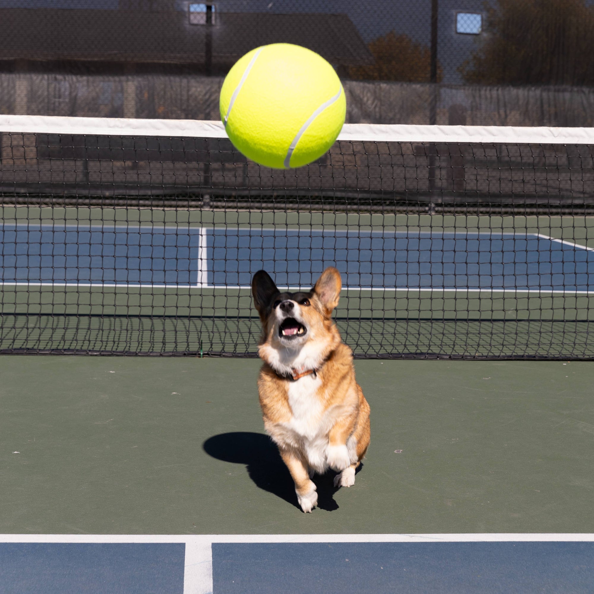 Giant Tennis Ball