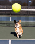 Giant Tennis Ball
