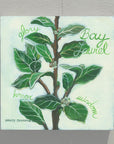 Gallery Grand - Your Own Herb Garden
