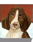 Gallery Grand - Dog Face - Springer Spaniel