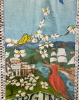 King Size Plush Beach Towels ~ Virginia