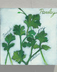 Gallery Grand - Your Own Herb Garden