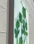 Gallery Grand - Herbs Parsley