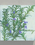 Gallery Grand - Herbs Rosemary
