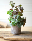 Artificial Begonia Plant with Cement Pot