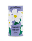Flowering Dogwood | Seed Grow Kit