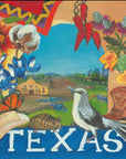 NANCY THOMAS PILLOWS - States - Texas