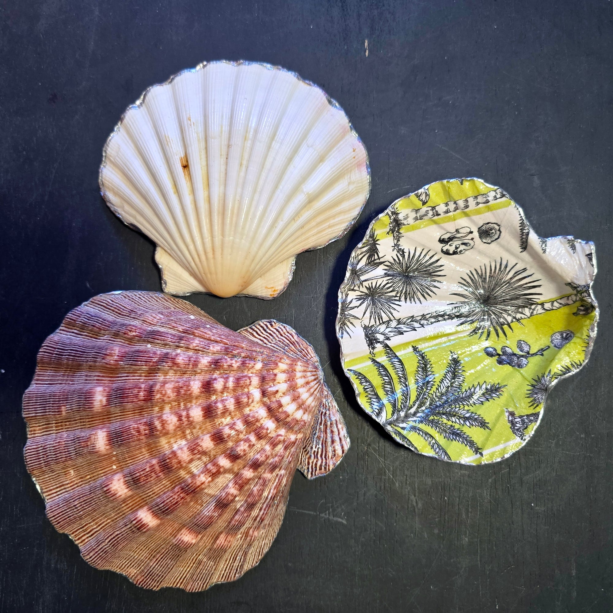 Shell Trinket Dish &quot;Persian Afternoon&quot;