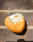 Concrete Love Heart with Petrified White Strawflower