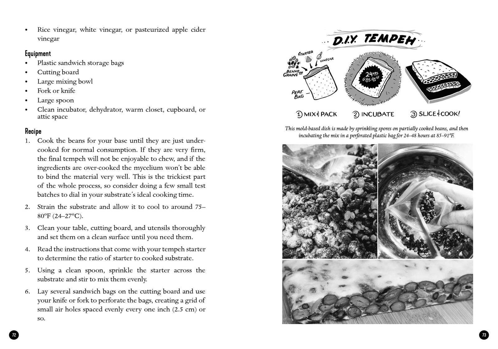 Mycocultural Revolution: Transforming Our World with Fungi (hardcover)