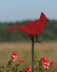 Cardinal Plant Stake