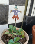 Scarecrow Plant Stake
