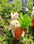 Rabbit Straw Ornament