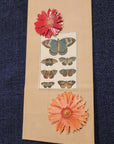 Little Brown Bag