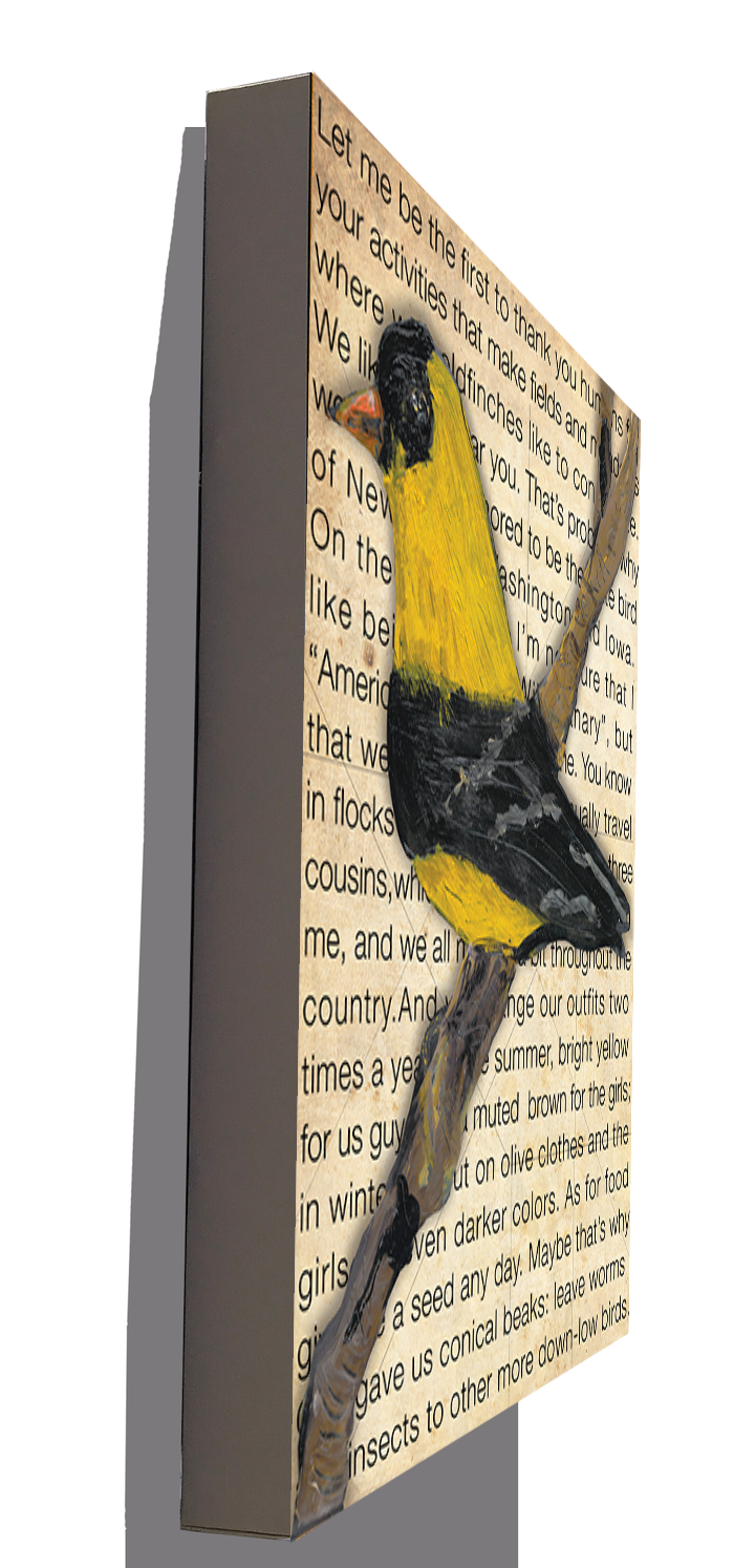 Gallery Grand - Birds Talk! Series - Goldfinch