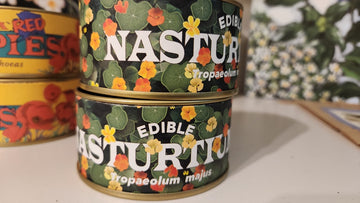 Nasturtium | Flower Seed Grow Kit