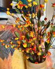 Bittersweet and Vines 28in Pick